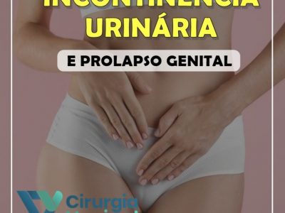 Módulo 2 – Incontinência Urinária e Prolapso Genital
