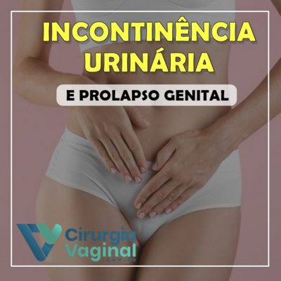 Módulo 2 – Incontinência Urinária e Prolapso Genital